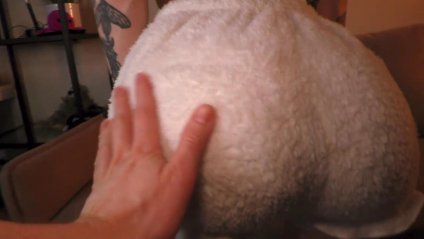 Озабоченная шлюха грязно выебана в пизду #1